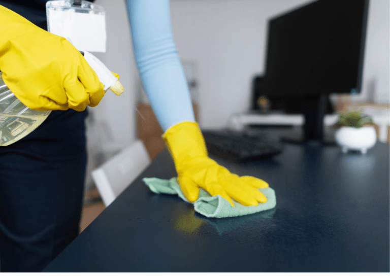 Professional Cleaning Services In UAE
